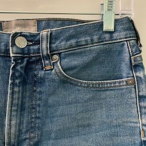 Everlane The Denim Short